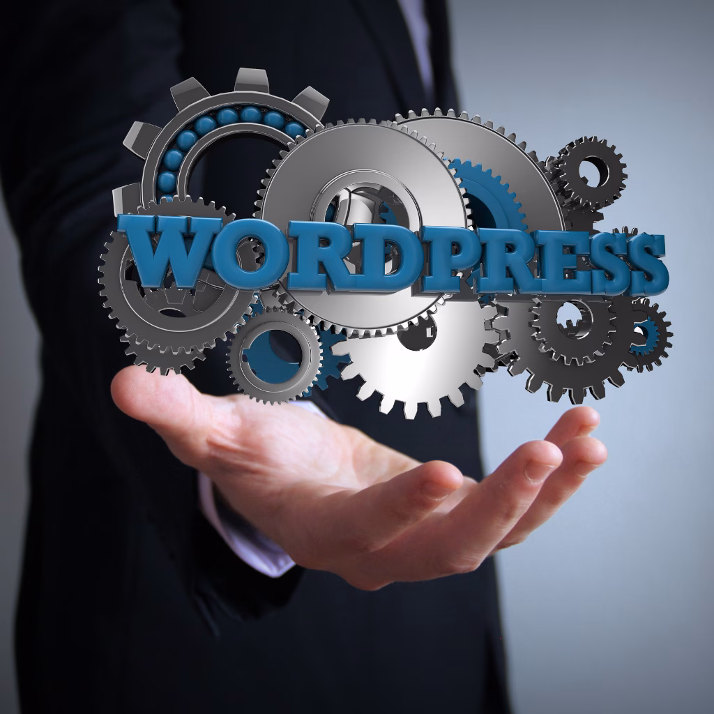 2025'te popüler olan profesyonel WordPress temaları